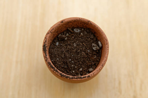 Empty Red Plastic Pots For Growing Plants, Planting Flower Seedlings, Vegetables, Spices On Background Blurred Green Plant Background In Garden With Yellow Gradient Sunlight
