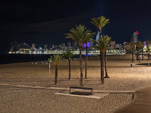 istock quiet night beach, still beachside beneath shimmering night sky with soft moon and city illumination 2243720904