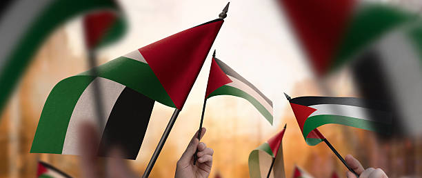 istock Palestine flags in their hands on a blurred urban background 2243723862
