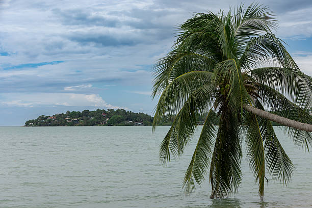 Ko Phan Gan Island. Surat Thani province.Gulf of Thailand - South China Sea.Thailand.