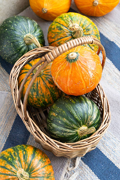 istock Assorted green and orange pumpkins in a wicker basket on a patterned rug 2243726625