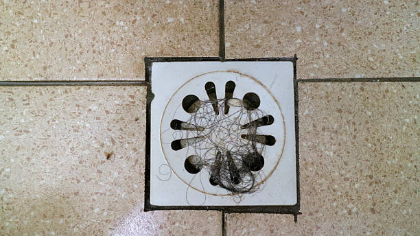 istock Bathroom floor drain filled with tangled hair strands 2243726780