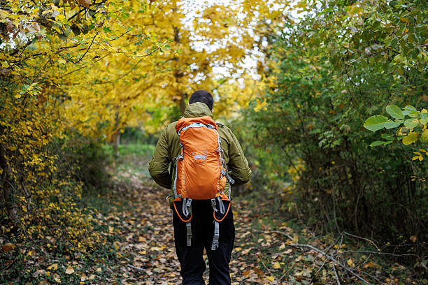 An orange and gray backpack is currently laying on the ground, resting on the surface of the earth, surrounded by various elements such as soil, rocks, and possibly some litter nearby