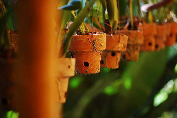 A row of small terracotta pots with green plants hanging, showcasing a natural and decorative indoor scene.