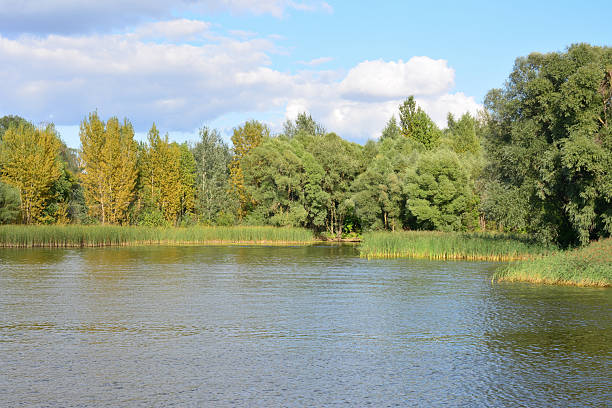 istock Tranquil Waters Edge with Vibrant Autumn Foliage and Reeds 2243734748