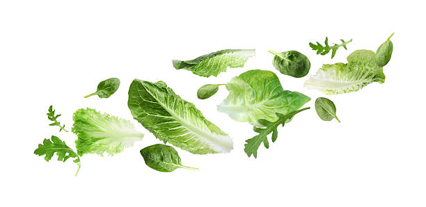 istock Fresh salad leaves flying against white background. Lettuce, spinach and arugula 2243735926