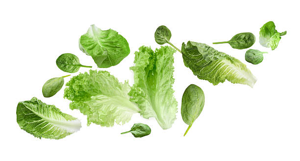 istock Fresh lettuce and spinach leaves flying against white background 2243735931