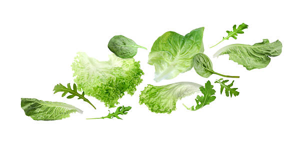 istock Fresh salad leaves flying against white background. Lettuce, spinach and arugula 2243735934