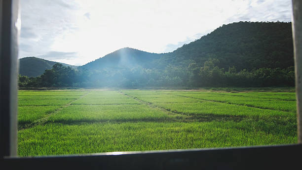 istock Rice field and mountain views outside the train window 2243736952
