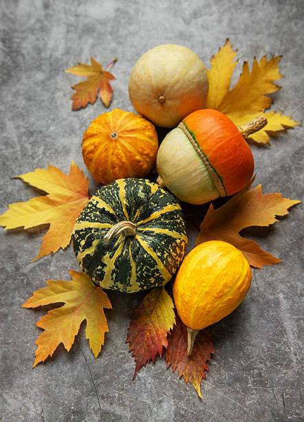 istock Decorative gourds and pumpkins among autumn leaves on grey background 2243737655