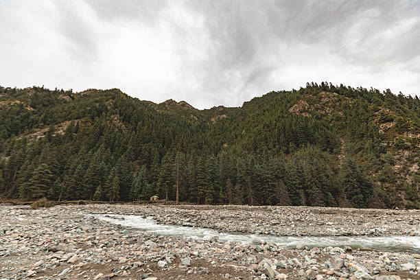 istock Snow mountain primeval forest valley river background under the blue sky 2243738896