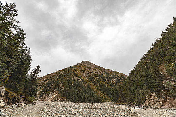 istock Snow mountain primeval forest valley river background under the blue sky 2243738919