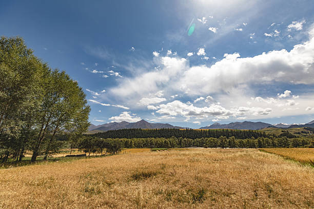 istock Snow mountain primeval forest valley river background under the blue sky 2243739118