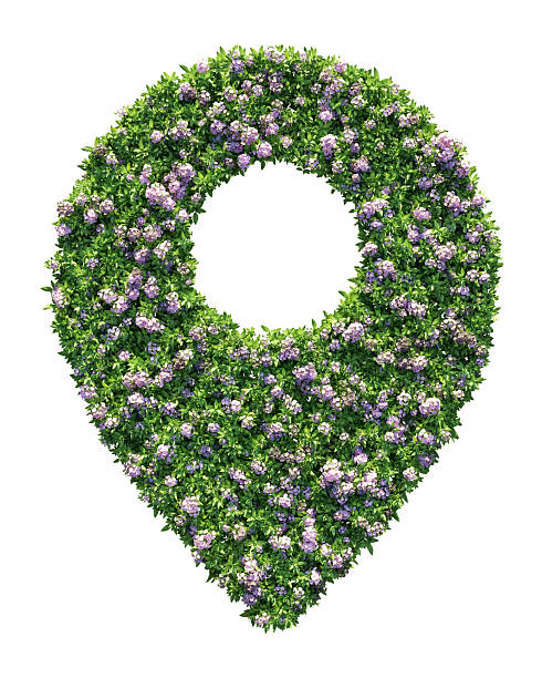 Eco location icon create from Mountain Laurels plant, Concept of ecology environmentally friendly and help preserve nature with isolated on white background, 3D rendering illustration