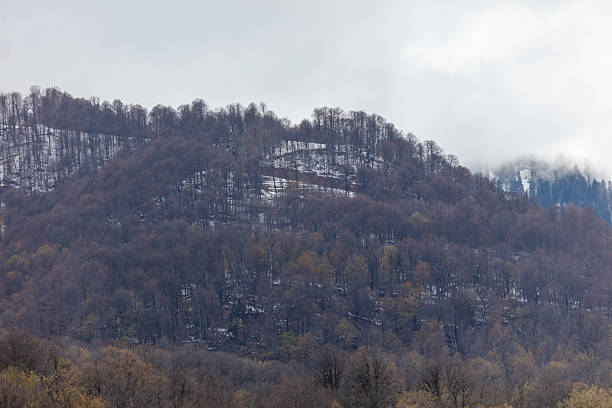 istock A mountain covered in trees and snow 2243746167