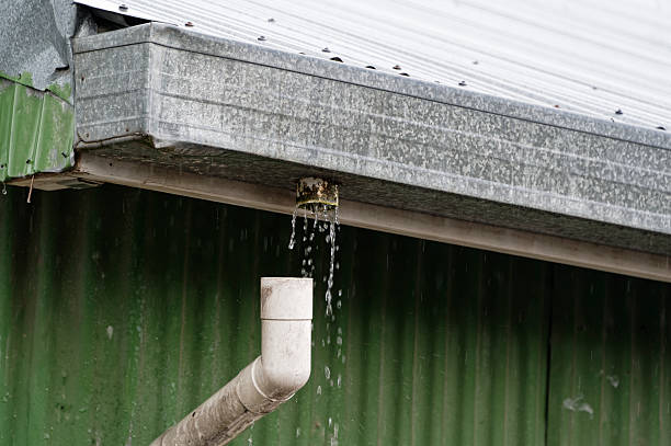 istock A down pipe has detached from the gutter it is meant to be draining, so the rain water is just flowing through the whole 2243747380