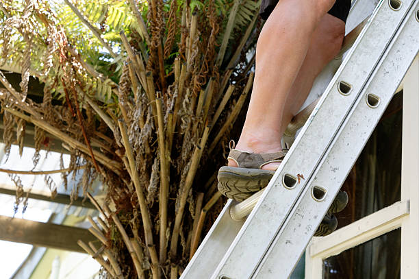 A man's legs on the rungs of a ladder that is leaning against a wall