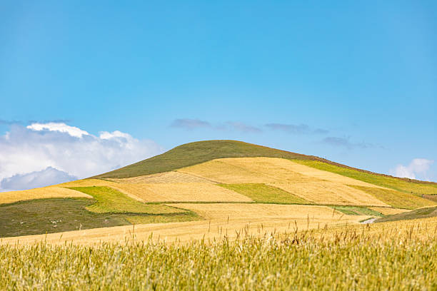 ...summer mountain landscape in the mountains near madrid, spain