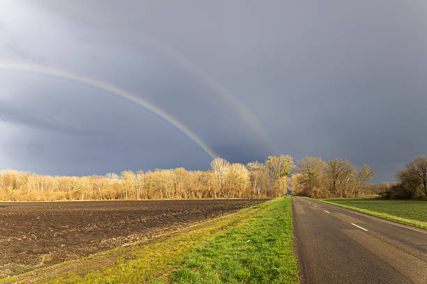Rainbow over field road