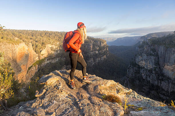 istock Hiker on a mountain peak looking down a canyon 2243752927