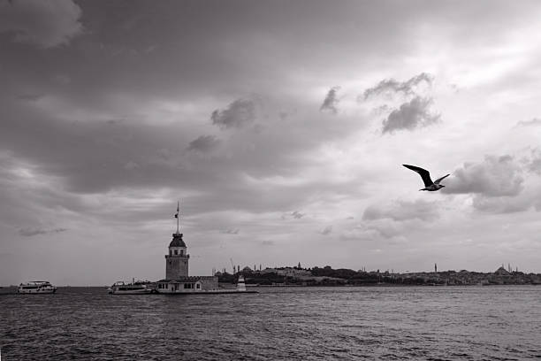 istock Maidens tower and seagull 2243754408
