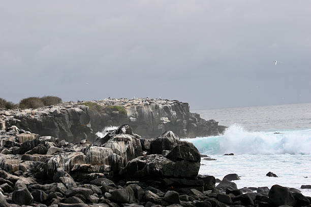 A dramatic, wide view of the rugged Galapagos coastline, featuring dark volcanic cliffs battered by powerful, crashing waves. The cliff face is topped with low scrub and covered in white guano, marking the location of a large seabird colony. The scene is set under a moody, overcast sky, emphasizing the wild and untamed nature of this remote equatorial environment. Perfect for editorial use, travel brochures, weather features, or marine conservation topics.