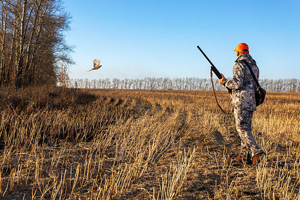 Bird hunting. hunter with shotgun outdoor.