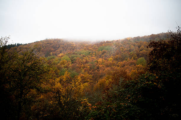 istock Colorful foliage in the autumn 2243764724