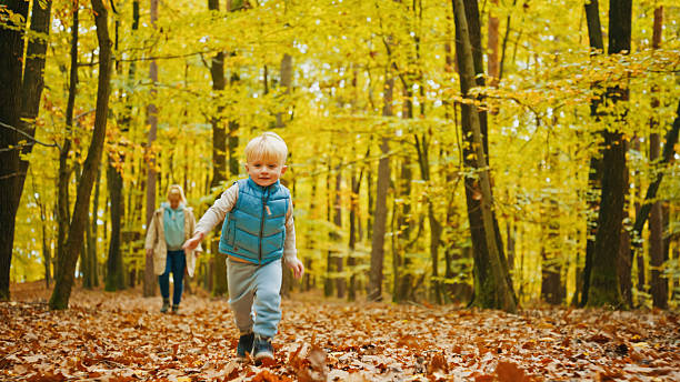 istock Delighted Caucasian Child Exploring Vibrant Autumn Forest with Parent in Background 2243765182