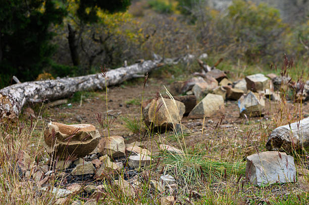 istock Mountain Picnic Spot with Logs and Rocks 2243765477