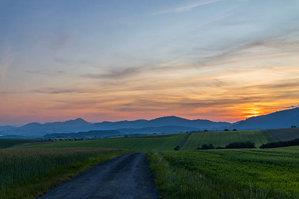 Rural road winding through crop fields in Liptovsky Mikulas, Slovakia at sunset, offering a peaceful view