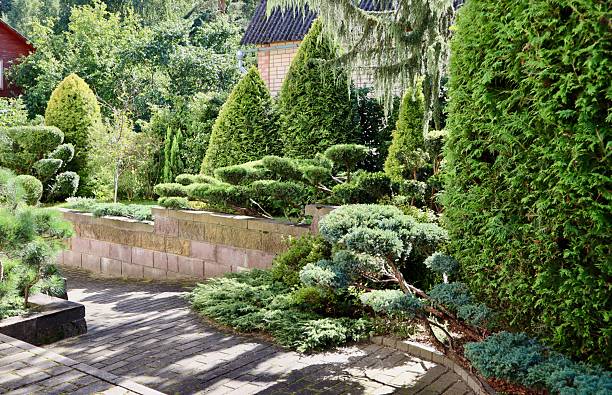 istock Landscaped garden path winding through meticulously trimmed evergreen topiary shrubs and trees, creating a peaceful outdoor space 2243768192