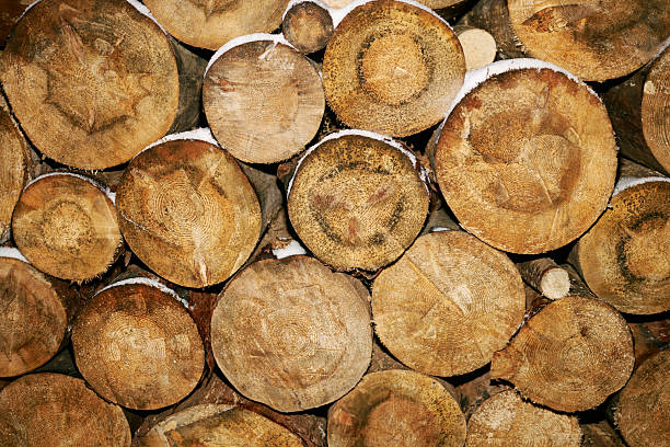 Stacked cut tree logs showing circular wood grain patterns and rough bark edges, arranged closely together in pile, highlighting natural texture and organic structure of timber
