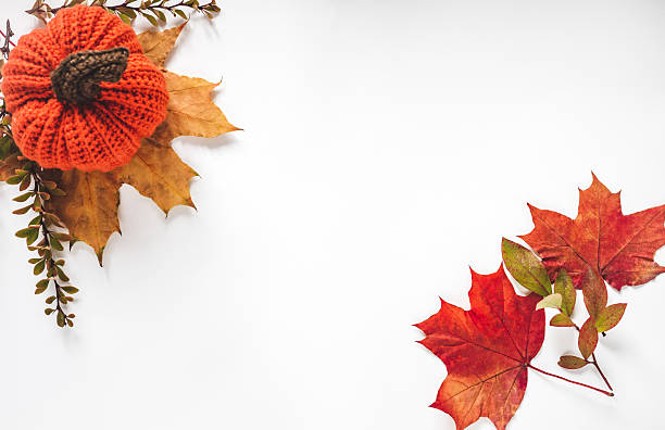 istock Bright pumpkin, tree leaves and flowers 2243769994