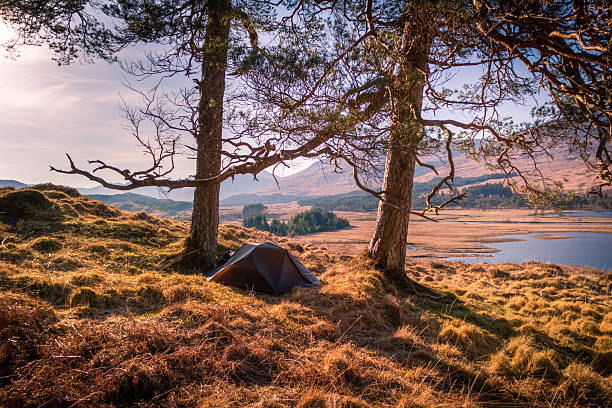 This image is a photograph of Loch Tulla, a loch (lake) in Scotland. It was taken along the West Highland Way, a long-distance hiking route