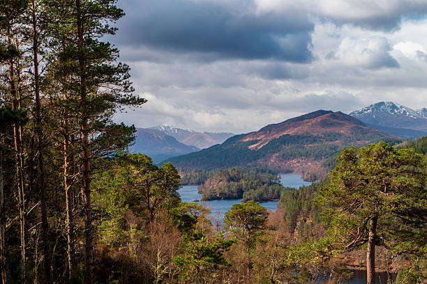 istock Overview of Glen Affric 2243774257