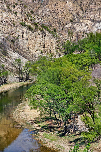 istock Scenic mountain river with clear water flowing through rocky terrain 2243775096
