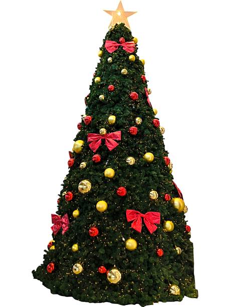 istock Christmas tree isolated on a white background. For Christmas themed designs, advertisements, greeting cards, or seasonal product displays 2243780293