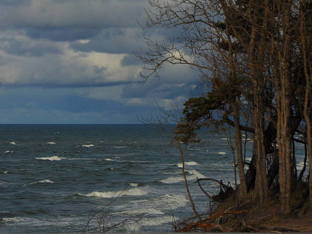 Baltic seascape in cloudy weather