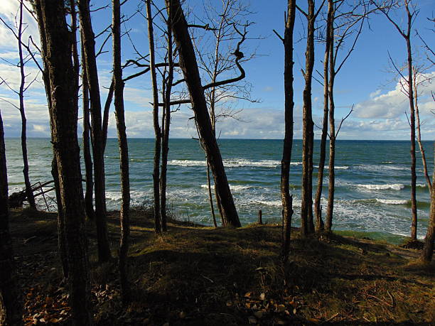 Baltic seascape in cloudy weather from the forest