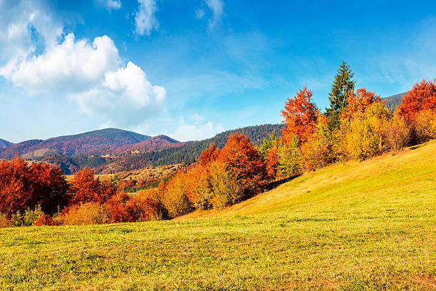 istock mountain landscape in autumn 2243784142