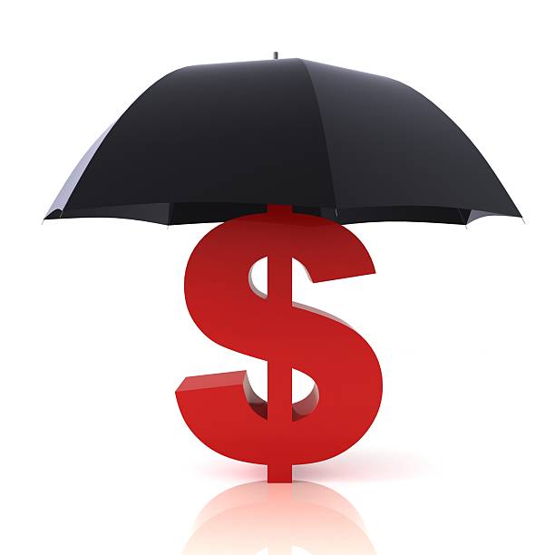 istock Finance business risk insurance protection dollar sign 2243785853