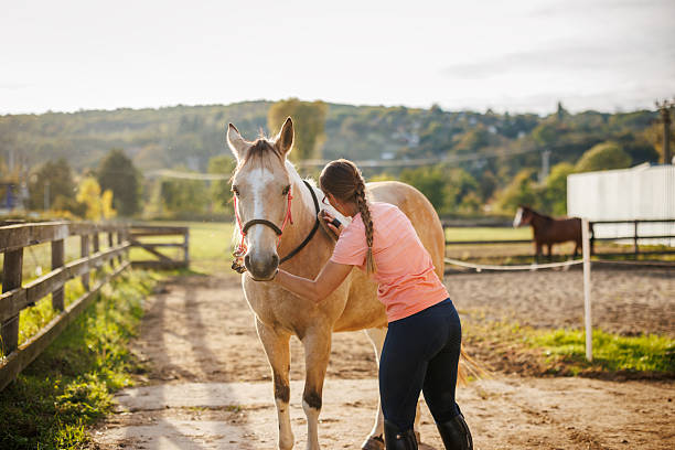 istock Woman grooming and brushing horse at paddock 2243786395