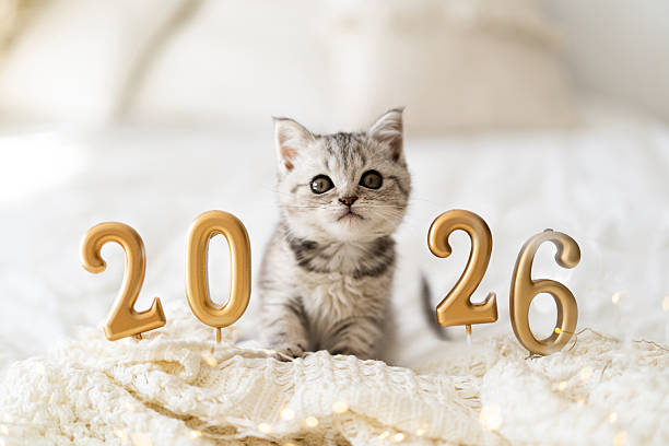 istock celebrating the New Year in winter 2026 2243790672