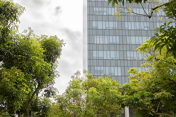 istock Sustainable futuristic architecture, Modern building. 2243793338
