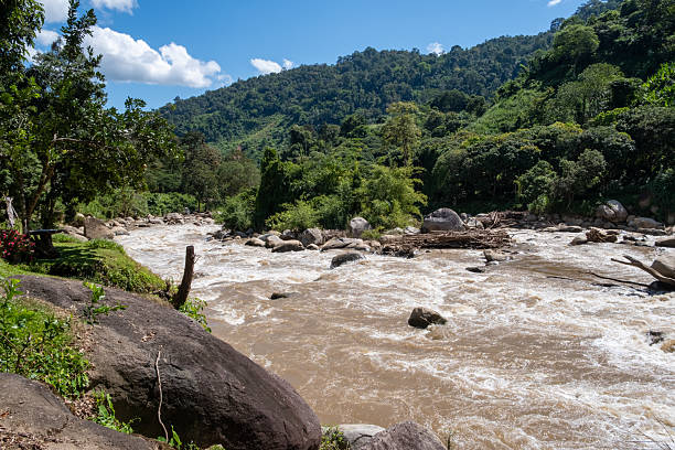 istock Mae Taeng River Flowing Through Mountain Valley, Chiang Mai 2243797287