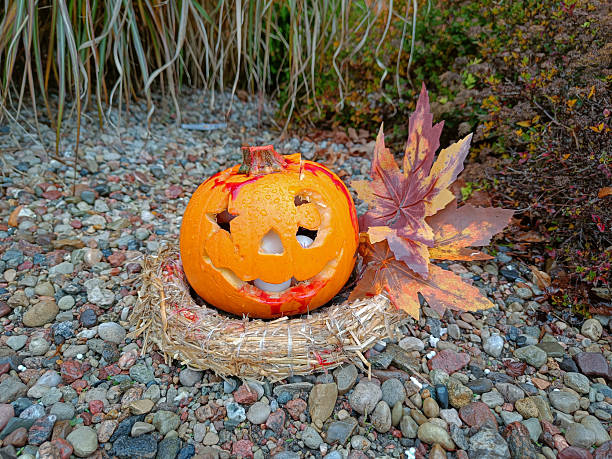 Festive autumn scene with two pumpkins placed on cobblestone ground, surrounded by colorful painted stones resembling mushrooms and decorative patterns. Birch logs and red box in background add seasonal charm and creative ambiance.