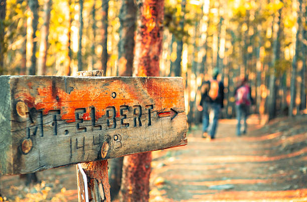 A rustic wooden sign marks the path to Mt. Elbert, Colorado’s highest peak at 14,433 feet. The sign is weathered and engraved with “Mt. Elbert → 14,433,” with hikers blurred in the background as they ascend the forested trail in early morning light. Golden sunlight filters through the tall trees, creating a warm, inviting glow that highlights the adventurous spirit of the hike.