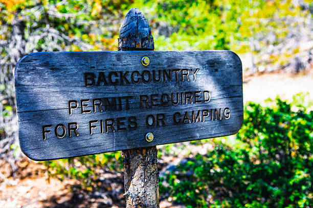 Close view of a weathered wooden trail sign that reads “BACKCOUNTRY — PERMIT REQUIRED — FOR FIRES OR CAMPING.” The engraved letters and rounded edges show age and exposure. Pine and shrub foliage blur into a colorful, sunlit background. Daytime, natural light; no people. Static shot.