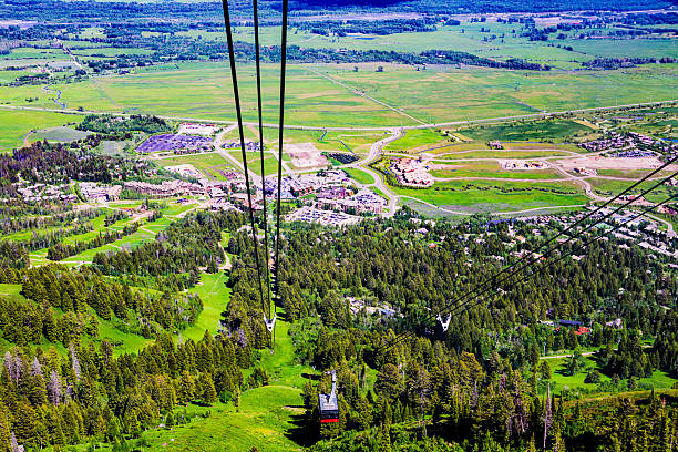 High above the lush forests of Wyoming, this vibrant aerial image captures the gondola tram descending toward Teton Village, located near Jackson Hole. The scene below features a mosaic of green treetops, winding roads, residential homes, and resort buildings nestled in a wide, open valley. The tram lines lead the viewer’s eye down the steep slope, offering a dynamic perspective on the landscape. Bright summer sunlight paints the entire valley in rich greens and warm hues, highlighting the organized sprawl of development amid nature’s grandeur.